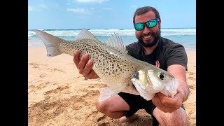 Pesca Spinning Fuerteventura Resumen Marzo [upl. by Anuahsal]