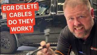 EGR Delete Cables  Are they worth buying What do they actually do [upl. by Anipsed]