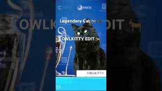 OWLKITTY Edit 🐐🔥🐈‍⬛ What a Legend 🐐🐐🔥🐈‍⬛ [upl. by Eiuol]