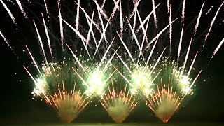 Pyroforum 2017  Beisel Feuerwerk amp Vaccalluzzo  Finale [upl. by Tuesday]