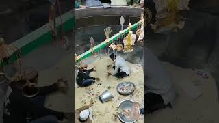 Ajmer Sharif dargah deg motivation love urdu vlog motivational subscribe ajmerdargahshariff [upl. by Yesmar342]