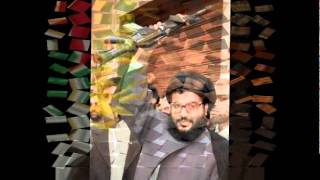 hissbollah sayed HASSAN NASRALLAH [upl. by Landel444]