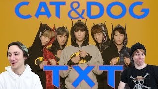 TXT  Cat amp Dog Reaction [upl. by Eelac]