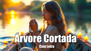 Árvore Cortada  Cortaram a árvore cheio de vida cortaram [upl. by Ardnaet170]