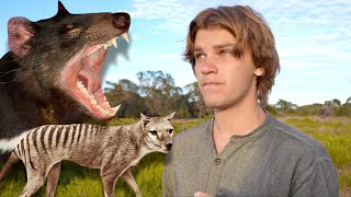 Hunt for EXTINCT Tasmanian Tiger amp Devil of TASMANIA Thylacine [upl. by Adnav65]