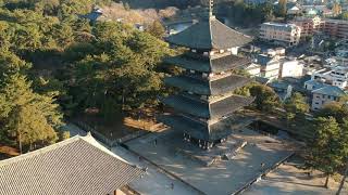 Horyuji Temple  Japan  Aerial View  Drone Shot  Free To Use Video  Creative Common [upl. by Netnilc581]