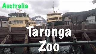 Sydney Taronga Zoo Step by step how to get here [upl. by Kit]