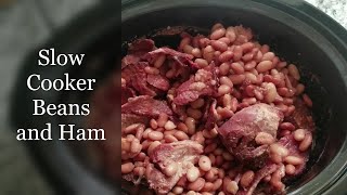 Slow Cooker Beans and Ham  Pinto and White Beans [upl. by Kennett]