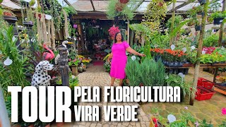 TOUR PELA FLORICULTURA VIRA VERDE FLORICULTURA EM GURIRIES  FLORES FOLHAGENS E MUITAS PLANTAS [upl. by Silyhp777]