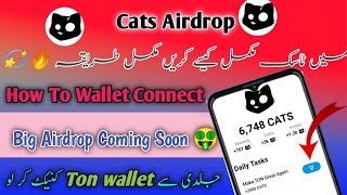 How to connect Wallet CATS🐈‍⬛  New Task Available Task complete kaisa kry CATS🐈‍⬛ Big Airdrop💸 [upl. by Ahsinwad779]