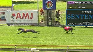 CapalabaWednesday23102024Race4 [upl. by Nylirej]