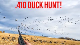 HUNTING DUCKS WITH 410 SEMIAUTO [upl. by Hillinck184]