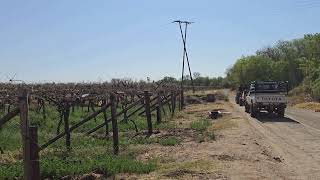 Agricultural Land in Friersdale between Keimoes and Kakamas [upl. by Dinse]