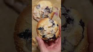 5 INGREDIENT LEMON BLUEBERRY COOKIES blueberry baking cookies recipe [upl. by Reifel]