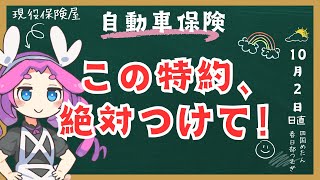 自動車保険に絶対つけてほしいおすすめの特約を解説します弁護士特約、個人賠責特約ほか [upl. by Lewak]