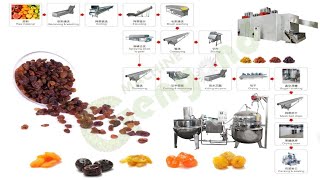 Preserved candied fruit making machine preserves succade factory sweets sweetmeats processing line [upl. by Shuler918]