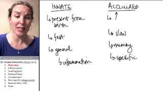 Innate Immunity 1 Intro [upl. by Nairoc]