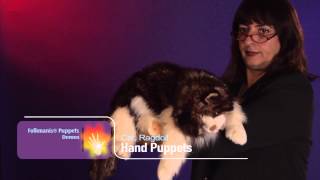 Folkmanis® Ragdoll Cat Puppet Demo [upl. by Neddy128]