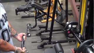 Powertec Lat Machine Demonstration by Lee Priest [upl. by Fiorenza]