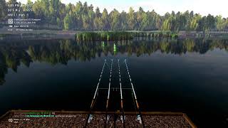 🔴 Fishing Planet  Weeping Willow Carp Hunt Is On Again 😅  Live Testing And More  Short Stream [upl. by Shah]