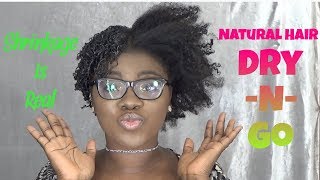 78Dry Wash n Go with Soultanicals Fluffalicious Curl Nutricious Review  Shrinkage is Real [upl. by Gloriana]