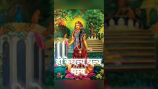 Shri Radha Sharanam Mam J S R Madhukar radha ji status radharani shorts viralvideo [upl. by Ahsilak]