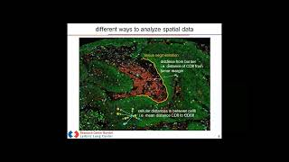 A Spatial Biology Approach For Biomarker Discovery and Validation in ImmunoOncology [upl. by Odnanreh373]