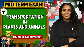 Transportation in Plants and Animals  15 Minutes Rapid Recap in English  Mid Term  Class 7 [upl. by Dat]