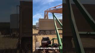 Second 80 ton road train of the day almost ready to go roadtrain harvest farming [upl. by Htrow]