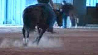 Two year old reining horse 2 [upl. by Cohin]