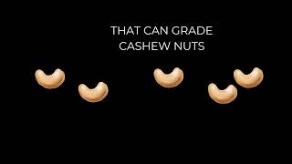 A LowCost DeepLearningBased System for Grading Cashew Nuts [upl. by Lenna]