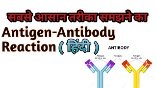 AntigenAntibody Reaction in  हिंदी Essy Way To Explain [upl. by Whelan]