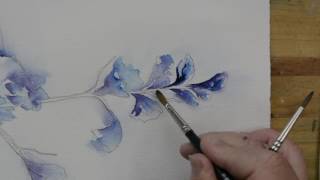 Watercolor Delphinium Part 4  Paint Florals Your Way  Painting Instruction with Sandra J [upl. by Kifar]