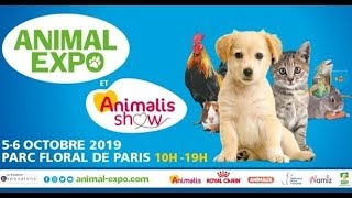 Reptiles  Salon Animal Expo 2019  ParisFrance  102019 [upl. by Corri879]