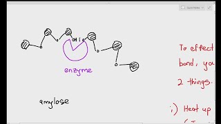 31 An Introduction to enzymes Cambridge AS A Level Biology 9700 [upl. by Netsoj820]