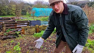 Clearing the Allotment  Alfies Agriculture [upl. by Radke343]