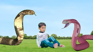 saamp wala video  snake video  short movie [upl. by Annoerb]