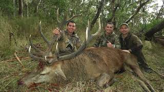 Red deer Hunting Trip New Caledonia to Australia [upl. by Jessabell]