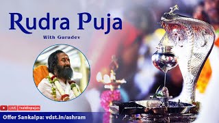 Rudra Puja  18 Nov 2024  Live From VDS Bangalore Ashram [upl. by Nyllaf]