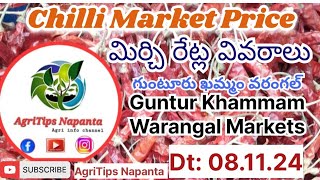 Chilli Price Dt081124 in Guntur Khammam Warangal Markets మిర్చిరేట్లు గుంటూరు chillirates [upl. by Adnirolc]