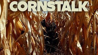 Cornstalk  horror short film [upl. by Ahsemak]