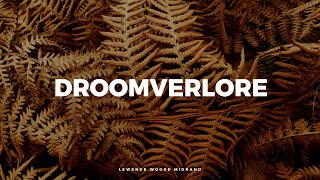 Droomverlore [upl. by Casanova]