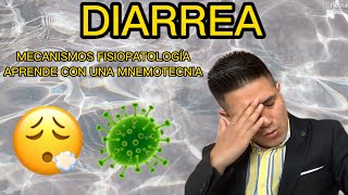 DIARREA EXPLICACIÓN FÁCIL FISIOPATOLOGÍA ¿QUÉ HACER Y ¿QUÉ NO HACER [upl. by Aneehsit]