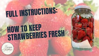 Strawberry Hack How to Make Your Berries Last Weeks in the Fridge [upl. by Ming]