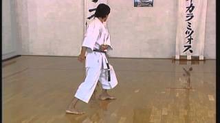 Meikyo  Efthimios Karamitsos  Karate Shotokan Kata [upl. by Redwine]