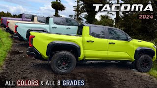 2024 Toyota Tacoma  All Amazing Colors of the New PickUp Truck [upl. by Yamauchi91]