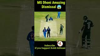 MS Dhoni Amazing Dismissals😱cricketshorts cricket viratkohli t20worldcup msdhoni icc [upl. by Ghassan191]