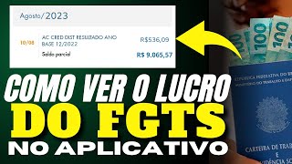 COMO VER O LUCRO DO FGTS NO APLICATIVO  COMO CONSULTAR LUCRO DO FGTS 2024 NO EXTRATO [upl. by Montagna]