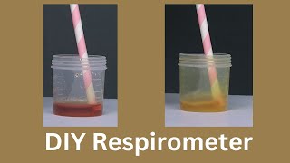 DIY Respirometer  ThinkTac  DIY Science [upl. by Runkel782]