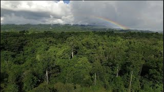 CONABIO 30 años conservando la Biodiversidad Mexicana [upl. by Mani]